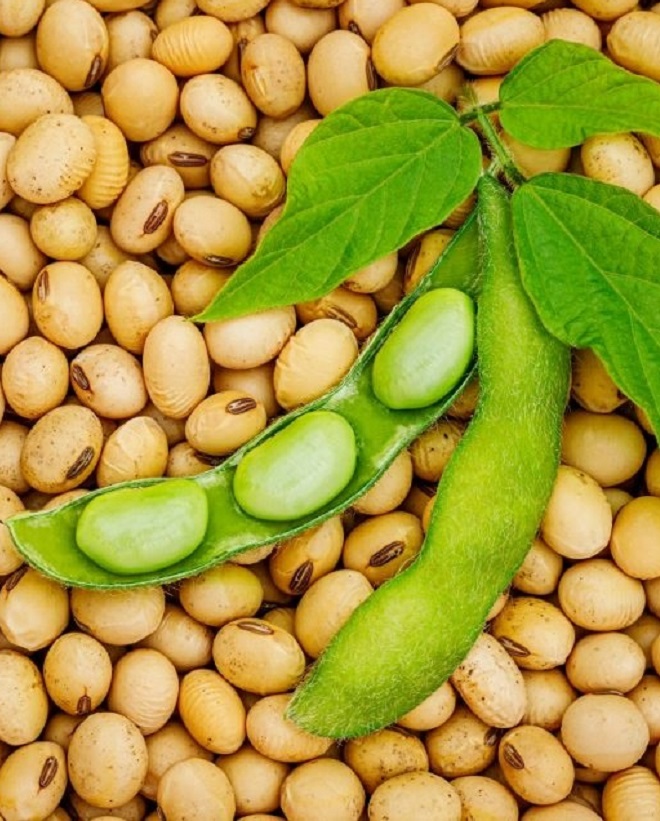 Soy beans
