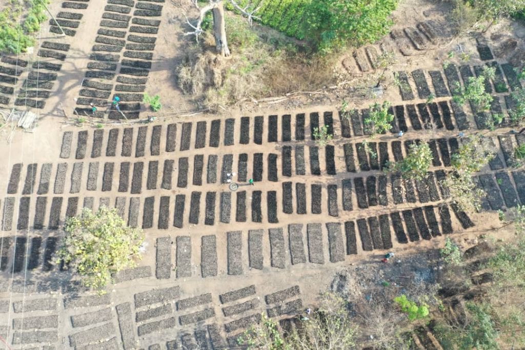Drone shot from tree nursery. Photo credit: Tropenbos International