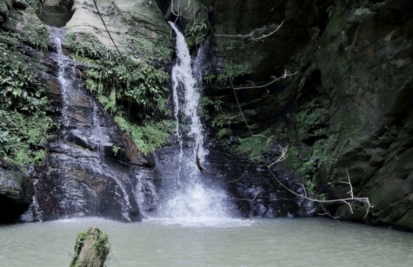 Waterval in het Atewabos