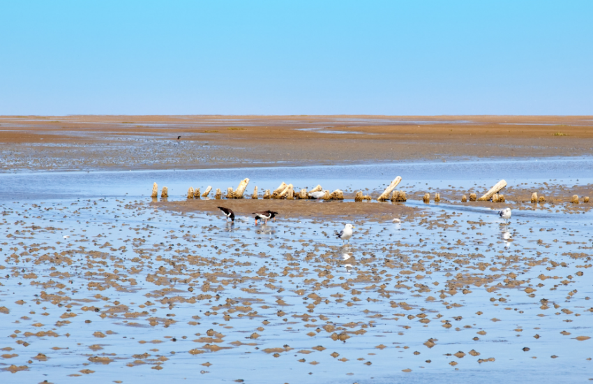 Waddenzee