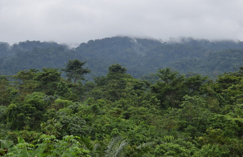 Atewa Forest Ghana