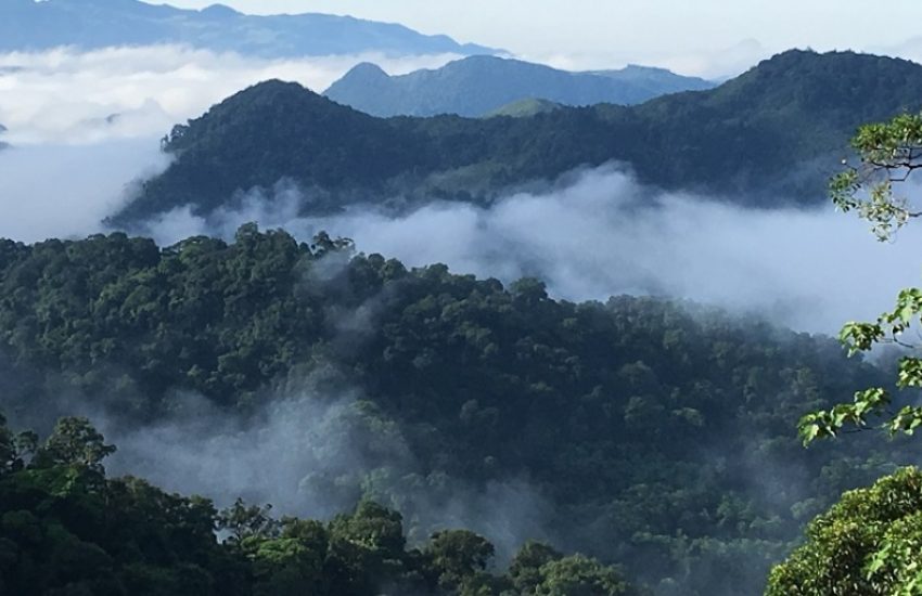Dong Chau Khe Nuoc Trong Nature Reserve in Vietnam (c) Vietnature Conservation Centre