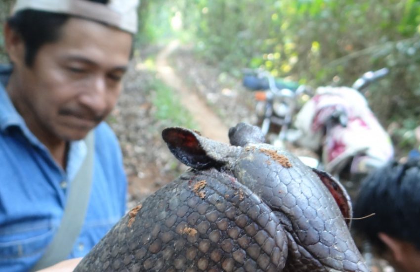 Man showing armadillo (c) Vincent Vos
