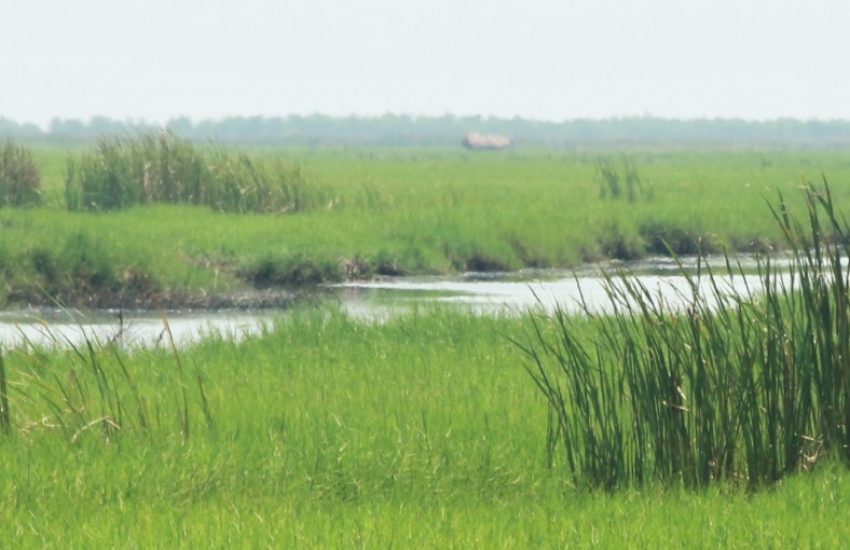 Ouémé River Basin in Benin (c) Elke Praagman