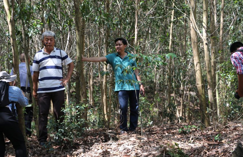 Vietnature timber