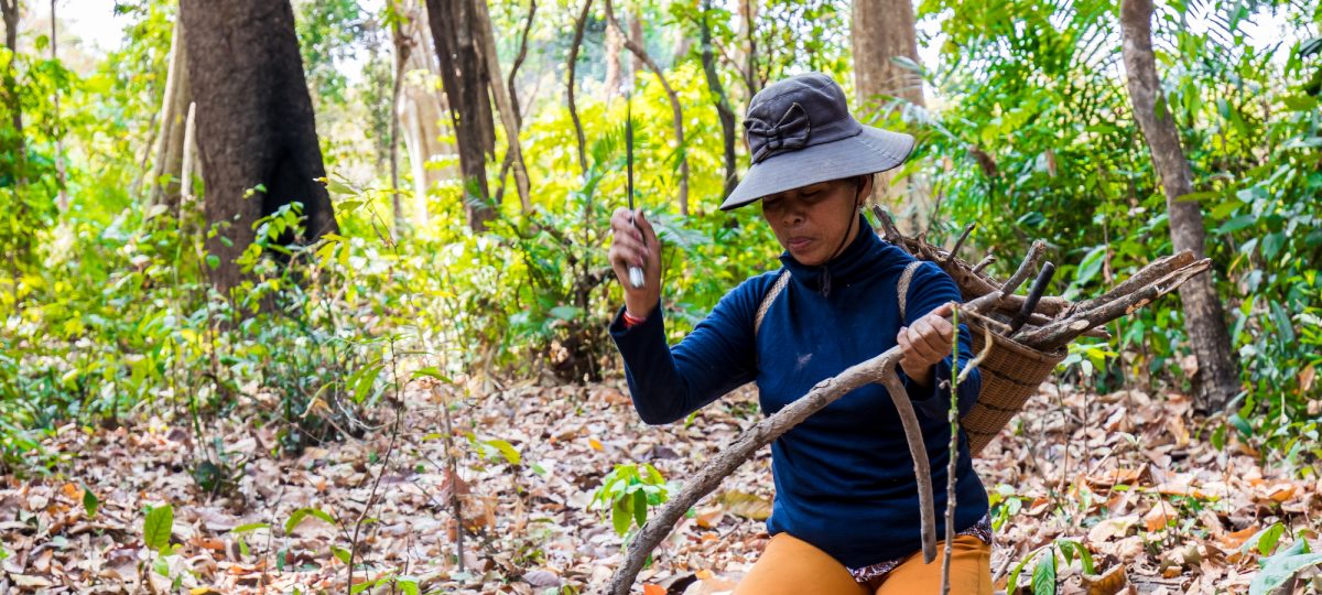 Woman collecting wood (c)