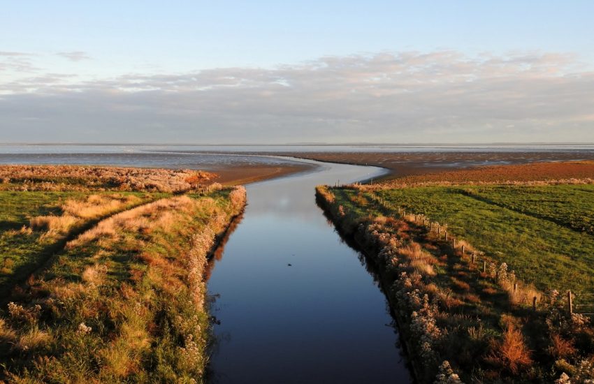 ondernemers voor natuur