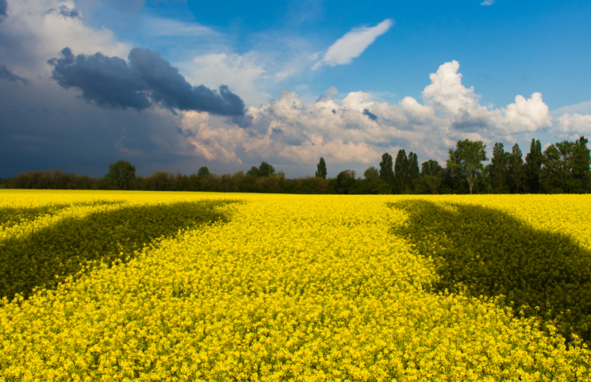 Landschap Oekraine