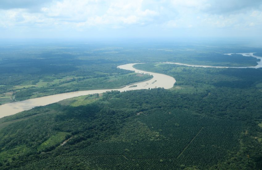 Deforestation and land grabbing in Colombia_Mariel Cabero IUCN NL
