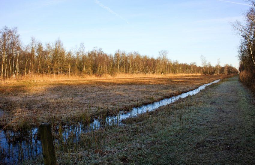Nationaal Park Weerribben-Wieden Foto Dominicus Johannes Bergsma