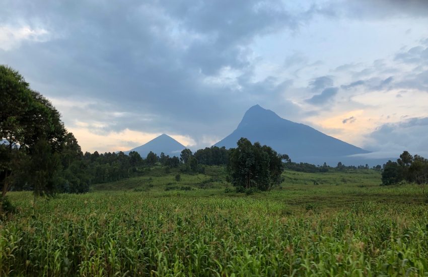 Combating wildlife crime in Virunga National Park