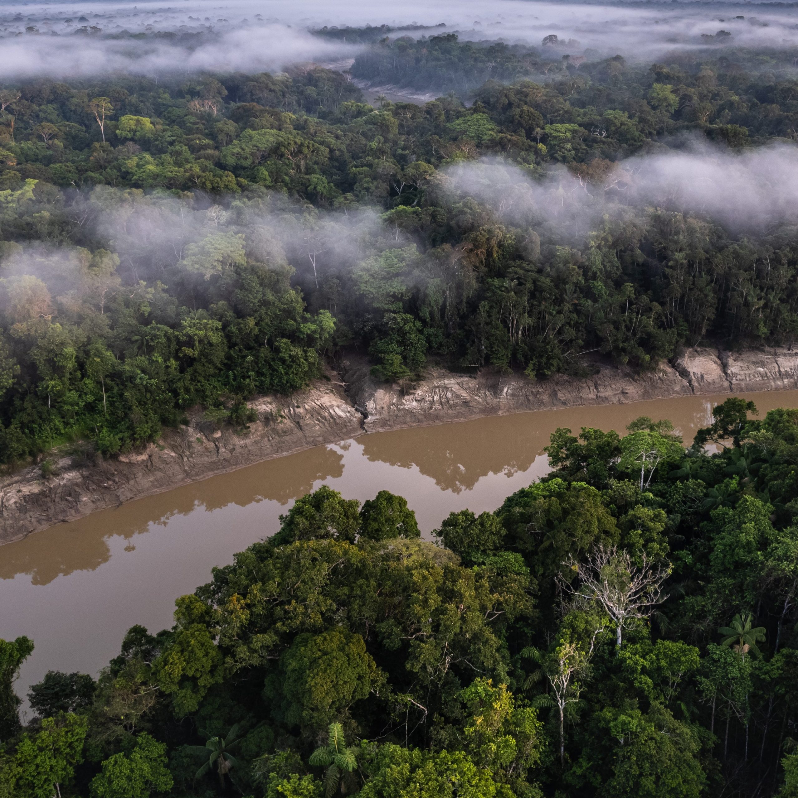 Peruvian Amazon Photo SPDA