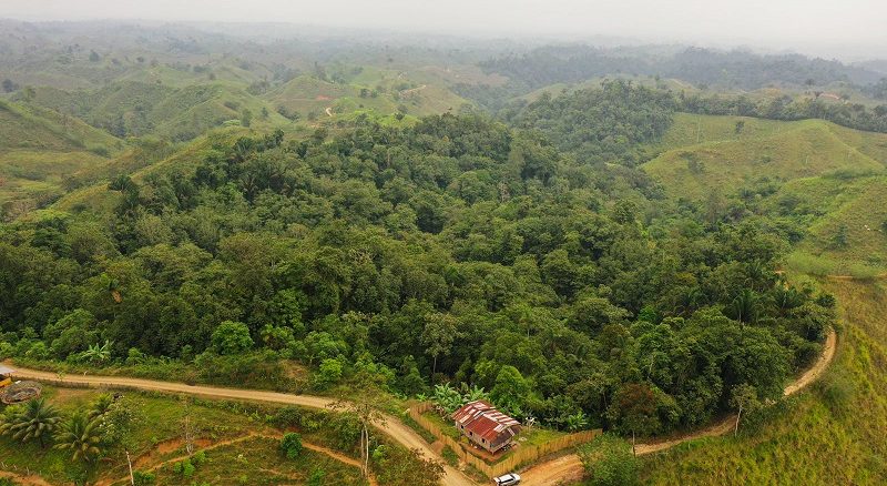 Natuurbehoud en -herstel in Ecuador voor biodiversiteit en klimaat