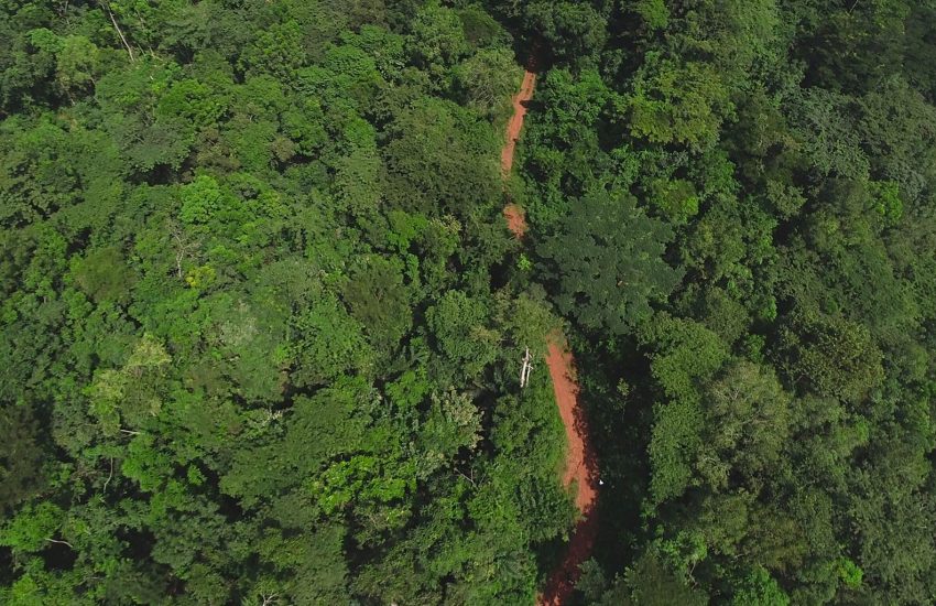 Atewa Forest in Ghana